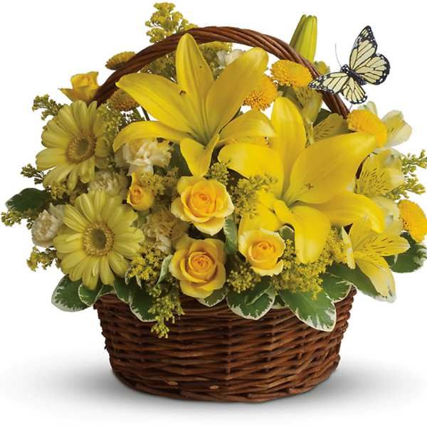 BASKET FULL OF WISHES