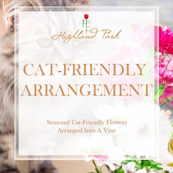 Cat-Friendly Arrangement (Vase)