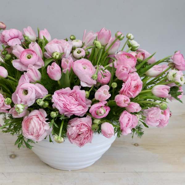 Low white bowl filled with lush light pink ranunculus blooms and buds in a dense, rounded arrangement