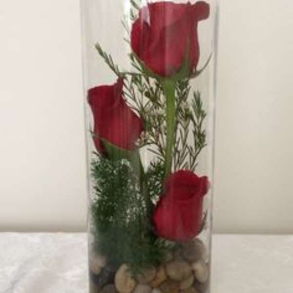 Three red roses in a tall glass vase with pebbles