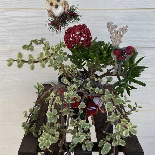 Potted succulent arrangement with holiday owl and reindeer decorations