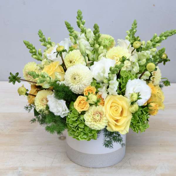 Low yellow and white flower arrangement with roses and snapdragons in a white ceramic cylinder vase