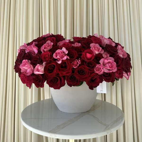 Velvet Blush