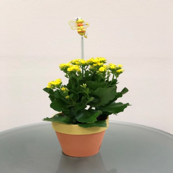 Potted yellow flowering plant with a bee topper