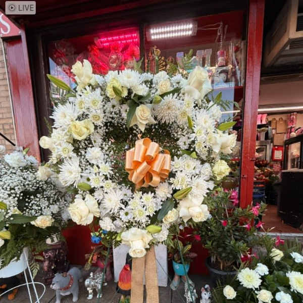 White Roses & Daises mix Sympathy Arrangment
