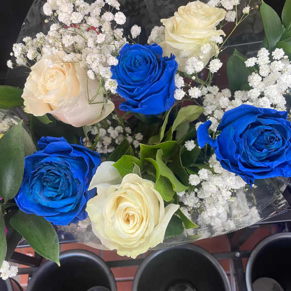 Blue X White BB Breath Half Dozen Special