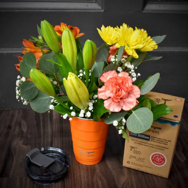 Sippy Stems in Orange