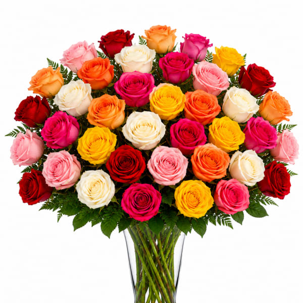 3 Dozen Rainbow Wish Roses