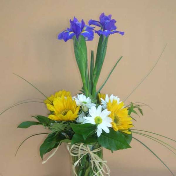 Yellow and white daisies with purple irises in a glass vase