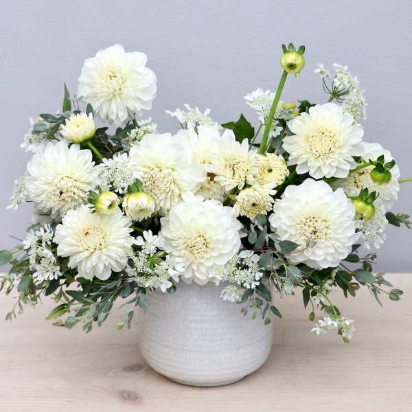 Low white arrangement of dahlias and mums in a white ceramic pot