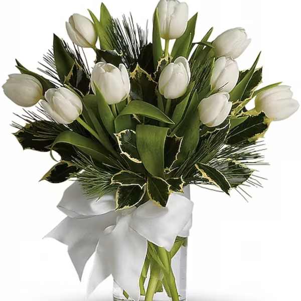 Tulips And Pine