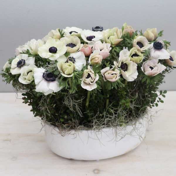 Low floral arrangement of white and blush blooms in a white bowl