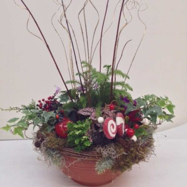Holiday floral arrangement in a low bowl with curly branches and red accents