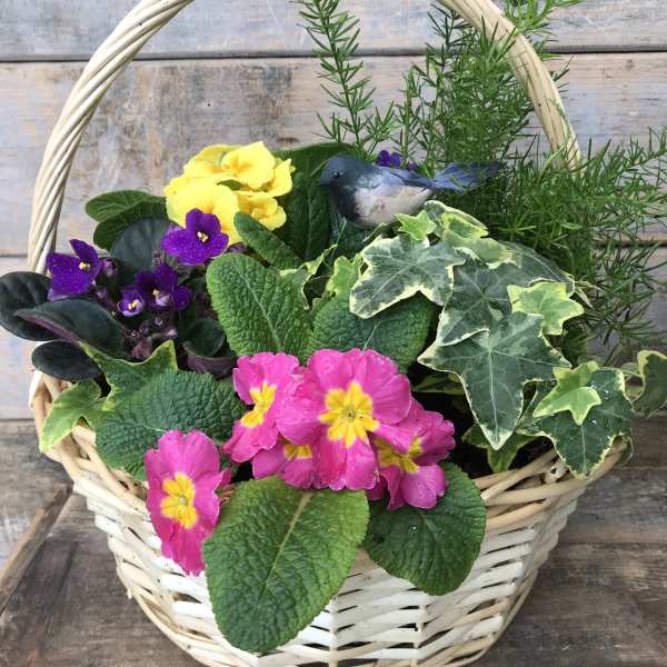 Basket of colorful potted flowers and foliage with a small bird decoration