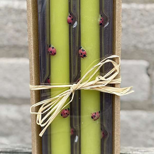 Bee candle