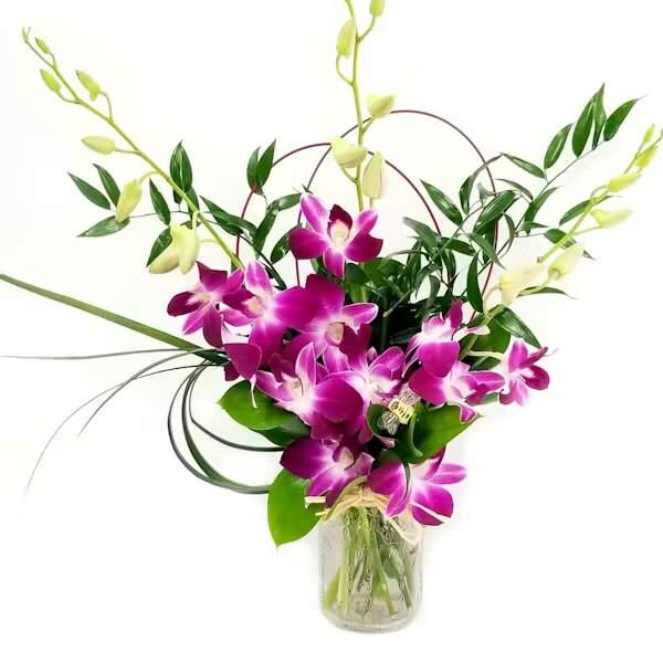 Purple orchids in a glass vase with arching stems and greenery