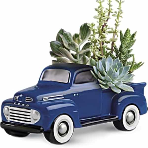 Blue pickup truck planter filled with succulents