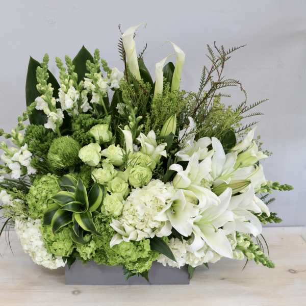 Large white and green arrangement with lilies and hydrangeas in a low gray rectangular container