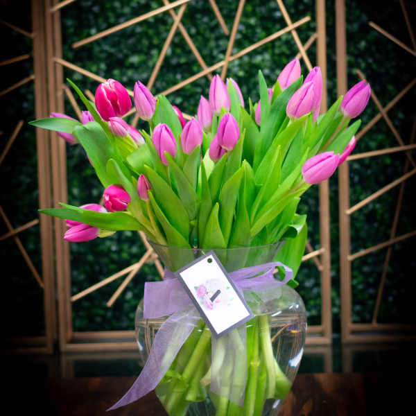 Tulip Extravaganza