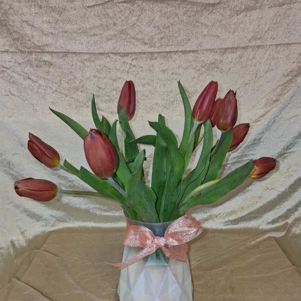Tulip arrangement