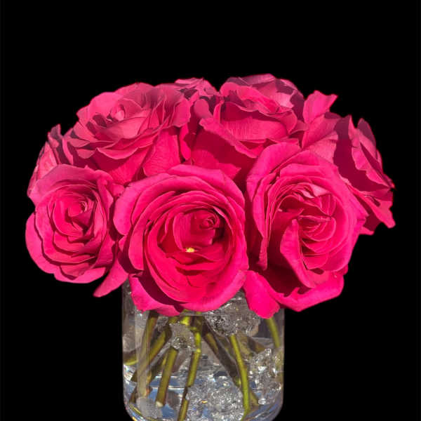 Hot pink roses arranged in a clear glass vase
