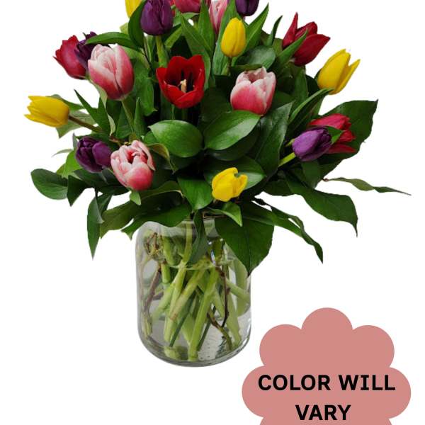 Mixed tulip bouquet in a clear glass vase with a color-will-vary note