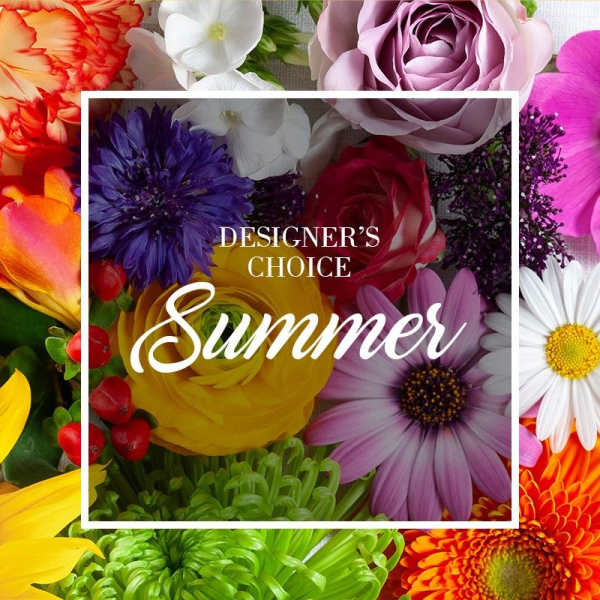 Summer Designer Choice