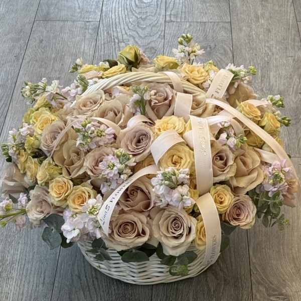 Anya