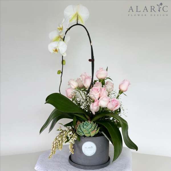 Majestic