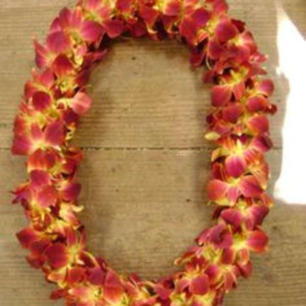 Pink and orange orchid lei on a tan surface