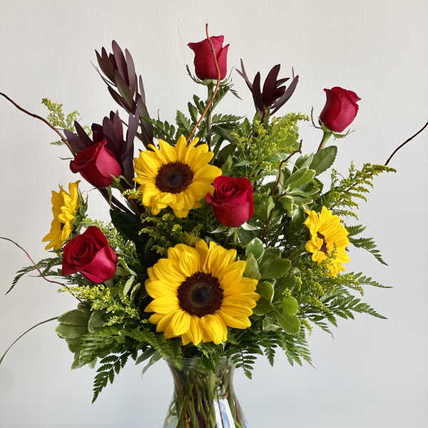 Sunsation