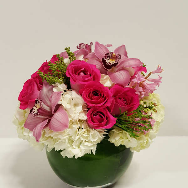 The Sweet Perfection