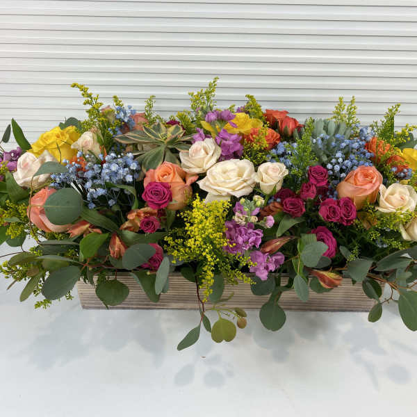 Splash of Colour