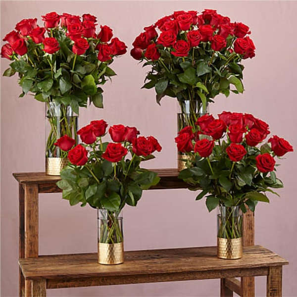 Four vases of red roses arranged on wooden steps