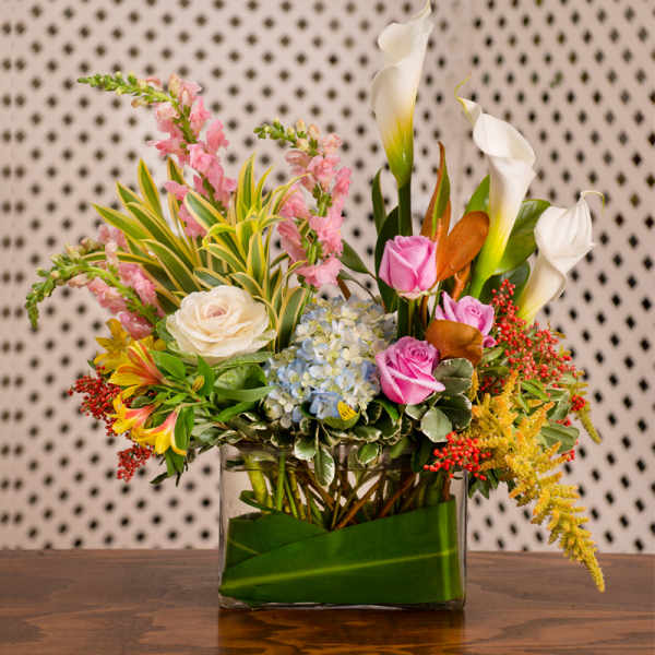 Regal Garden Mix