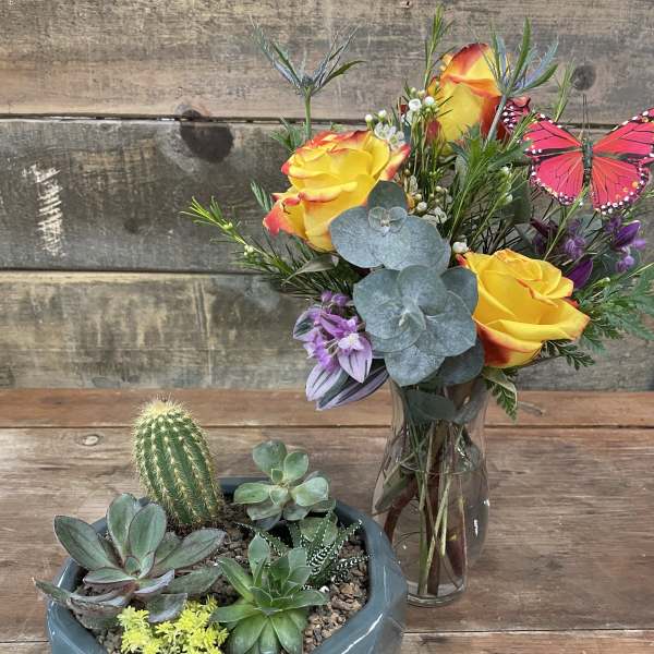 Succulent planter and vase of yellow roses with butterfly picks