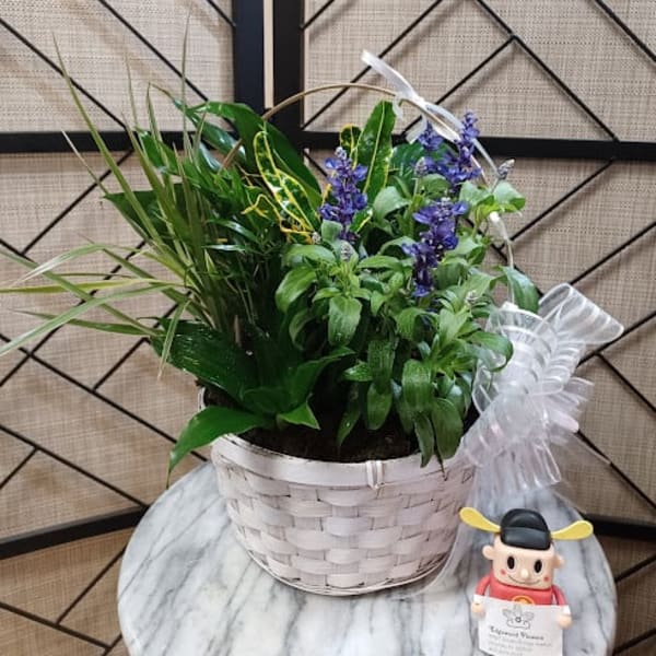 Potted green plant with purple flowers in a white basket, plus a small figurine.