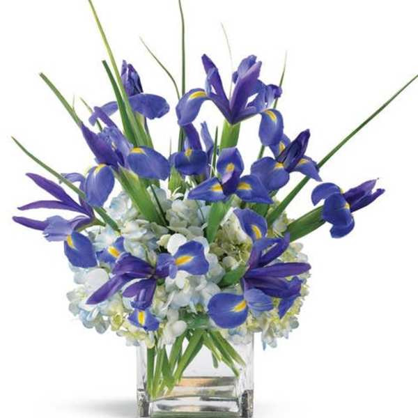 Wondrous Iris and Hydrangea Bouquet