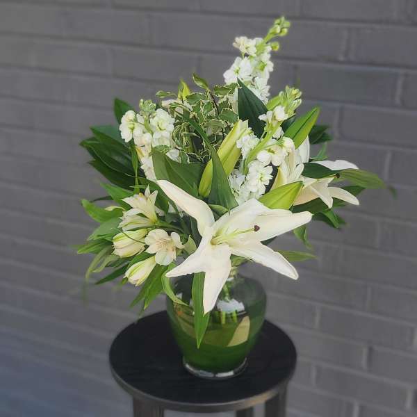 White Lilly