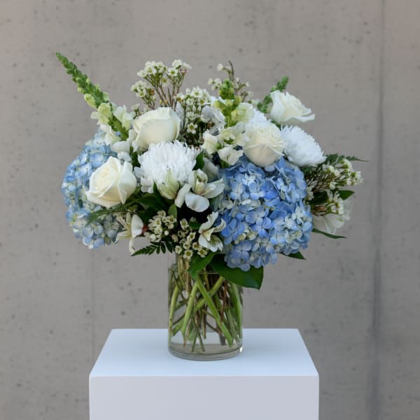 White roses and blue hydrangeas arranged in a clear glass vase