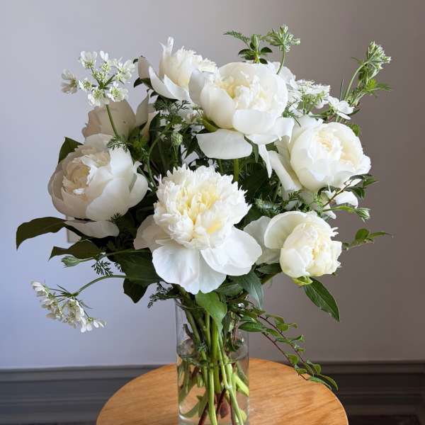 Peony by the Dozen