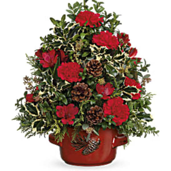 Red carnations in a red pot with pinecones and variegated greenery
