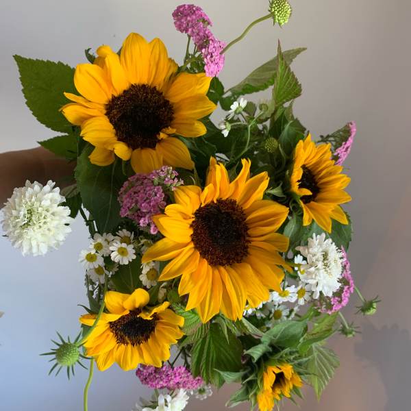 Bouquet of yellow sunflowers with pink and white filler flowers