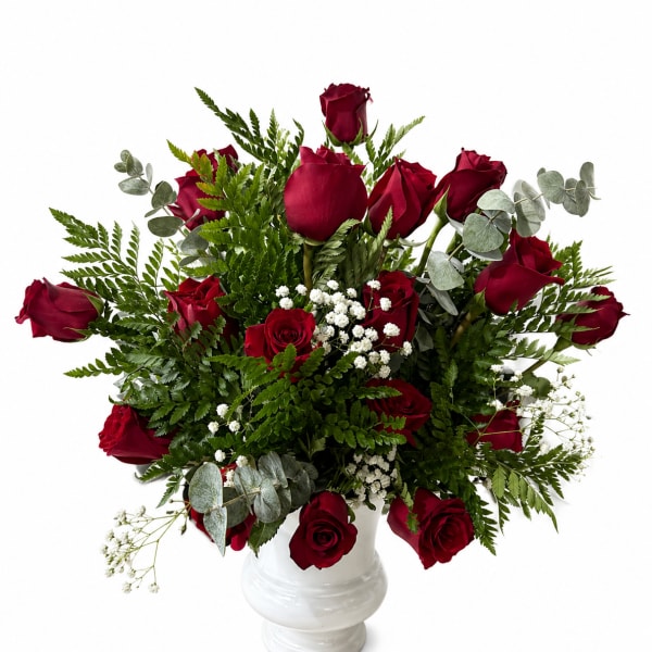 Encanto Red