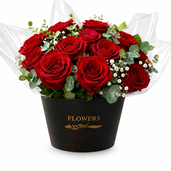 Velvet Red Rose Garden