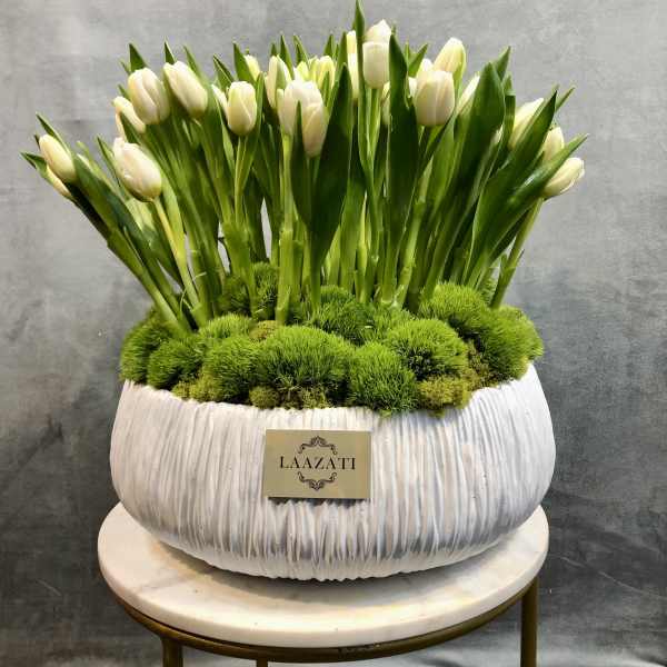 White tulips arranged in a textured white planter with green moss