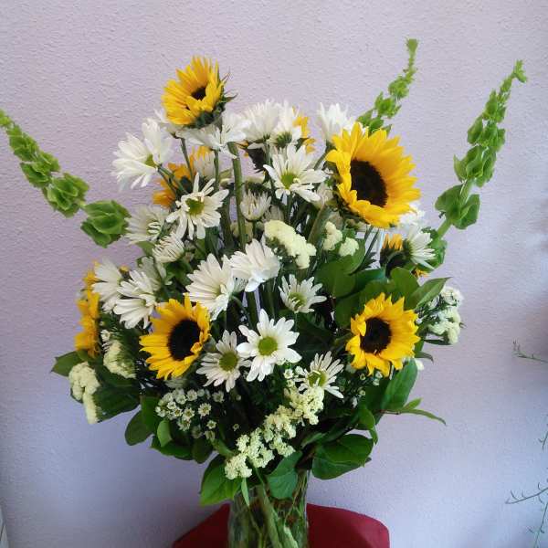 Dazzling Daisies by Forever Flowers