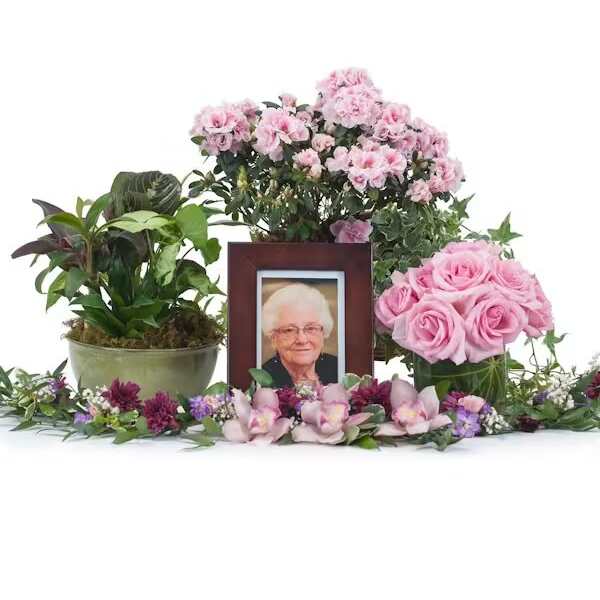 LOVELY LADY TRIBUTE