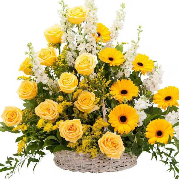 RAY OF SUNSHINE BASKET TRIBUTE