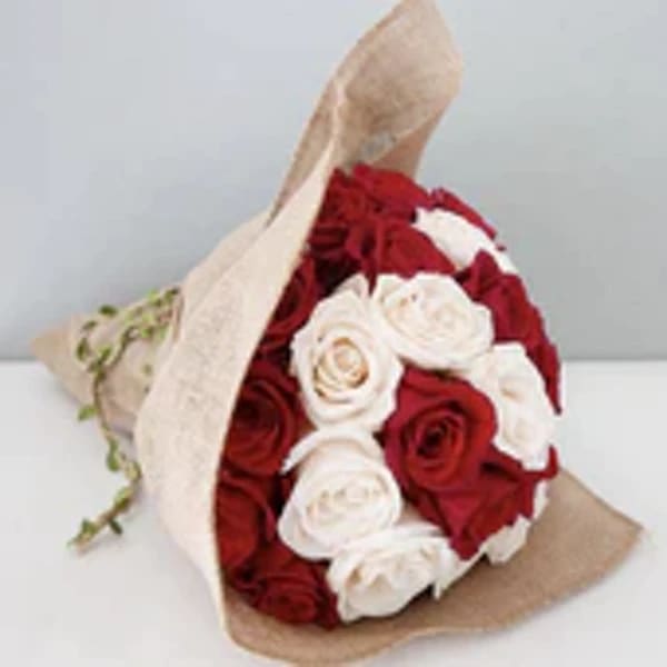 Bouquet of red and white roses wrapped in beige paper
